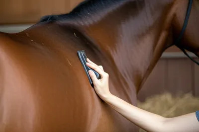 Illustration sweating - Image 1