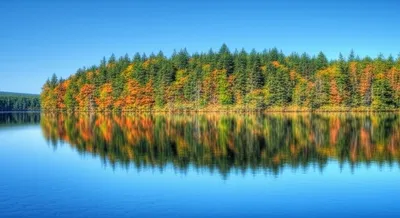 Illustration lucidity