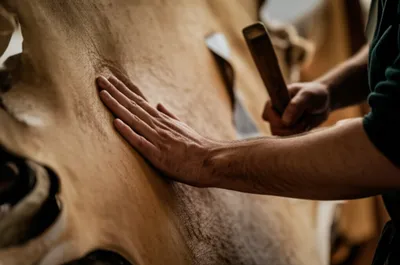 Illustration grained - Image 1