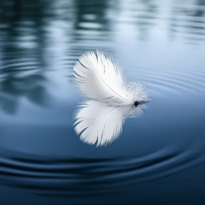 Illustration light - Image 1