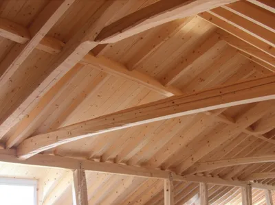 Illustration raftered