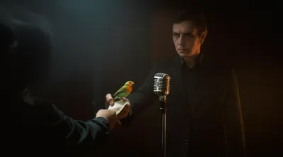 Illustration canary - Image 1