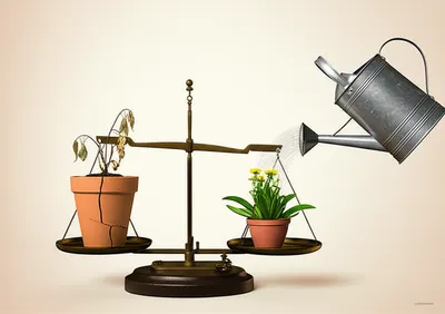 Illustration compensates - Image 1