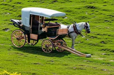 Illustration triggers - Image 1