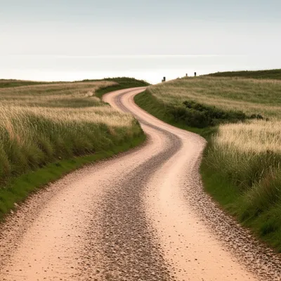 Illustration ways - Image 1