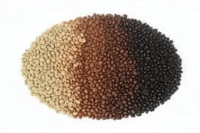 Illustration roasts - Image 1