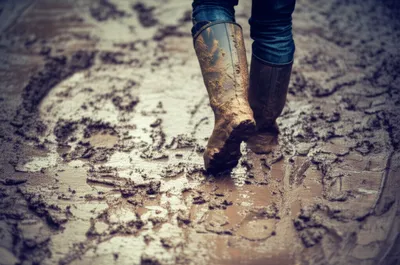 Illustration clumped - Image 1