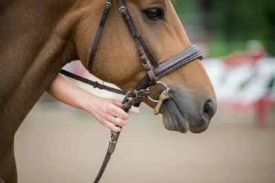 Illustration cheek - Image 1