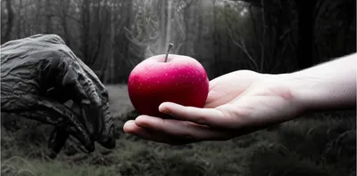 Illustration banes - Image 1