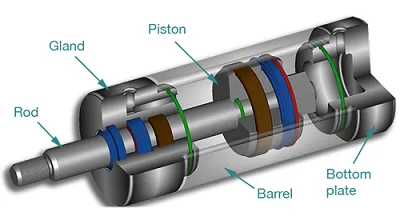 Illustration gland - Image 2
