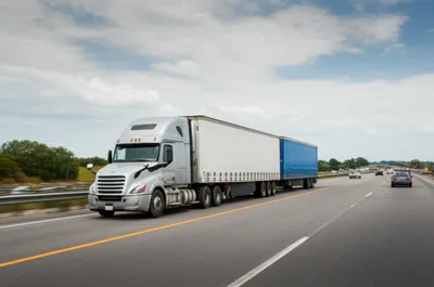 Illustration pups - Image 1