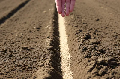 Illustration drill - Image 1