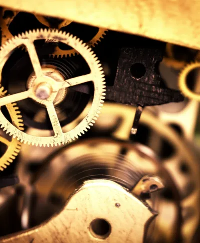 Illustration ticks - Image 1