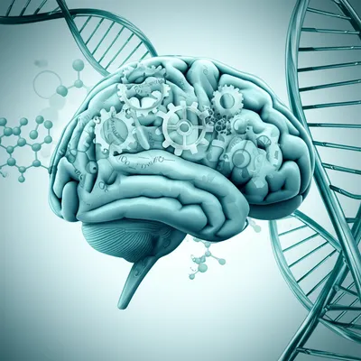 Illustration mechanisms - Image 1