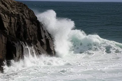 Illustration relentless - Image 1