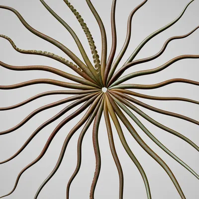 Illustration octopuses - Image 1