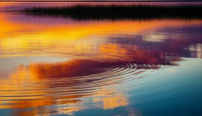 Illustration glassed - Image 1