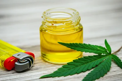 Illustration waxes - Image 1