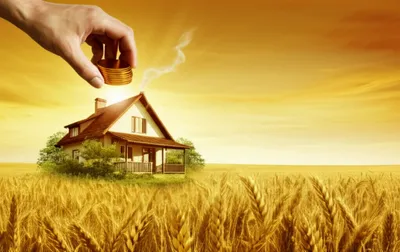 Illustration coin - Image 1