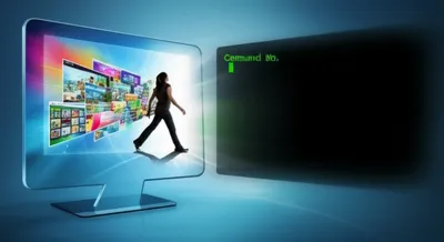 Illustration shells - Image 1