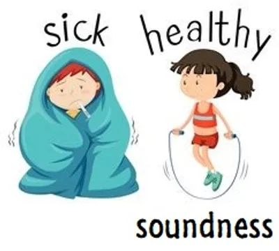 Illustration soundness - Image 2