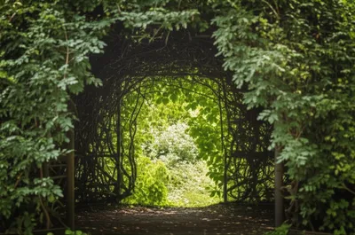 Illustration closet - Image 1