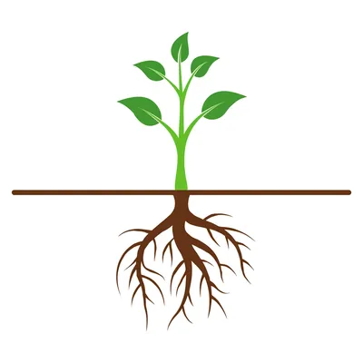 Illustration proceed - Image 1