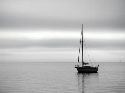 Illustration waved - Image 1