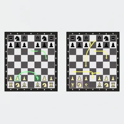 Illustration transposition - Image 1