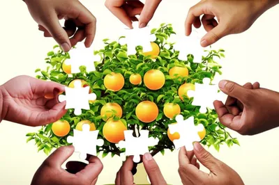 Illustration cooperating