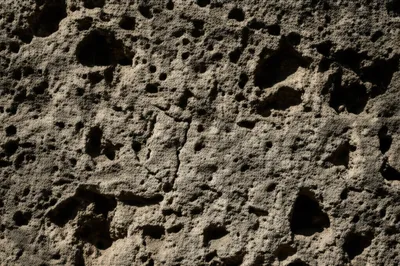 Illustration crannies