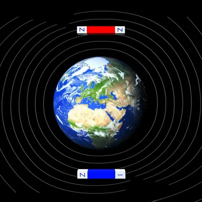 Illustration polar - Image 1