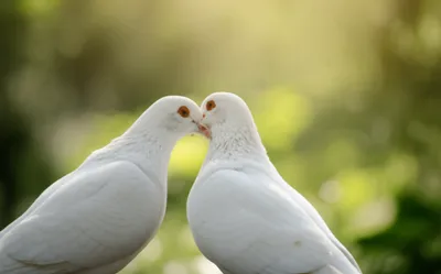 Illustration billing - Image 1