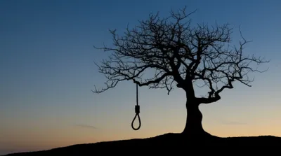 Illustration hangs - Image 1