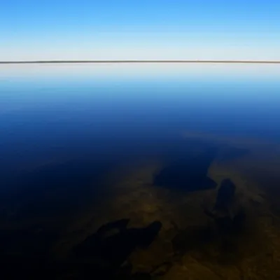 Illustration undercurrent - Image 1