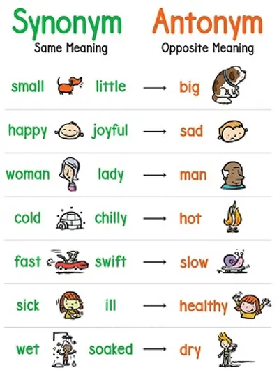 Illustration synonym - Image 2