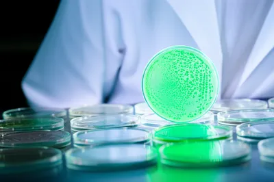 Illustration endpoint - Image 2