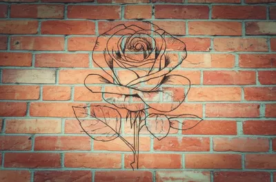 Illustration overlay - Image 1