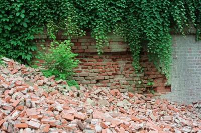 Illustration rendered - Image 1