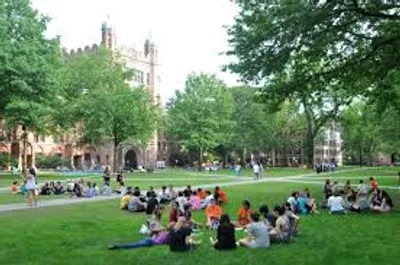 Illustration campus - Image 2