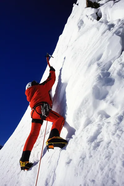 Illustration bid - Image 1