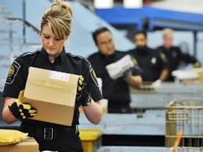 Illustration douanes - Image 2