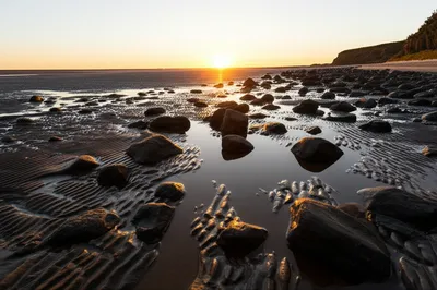 Illustration recedes