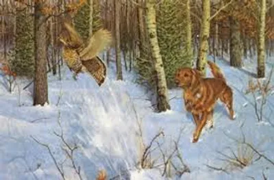 Illustration flush - Image 2