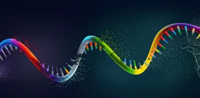 Illustration introns - Image 1