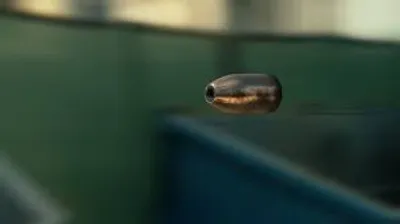 Illustration strip - Image 2