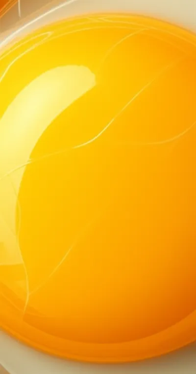 Illustration vitellin