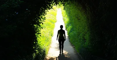 Illustration clearing - Image 1