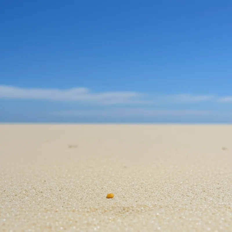 توضيح مرئي لـ sous: شيء قليل، ذرة - صورة 1