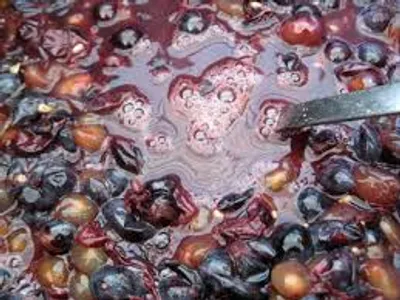 Illustration must - Image 2